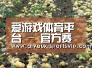 种植基地七
