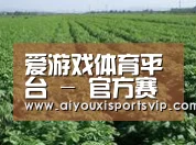 种植基地五(图1)