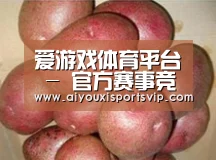 产品展示标题1