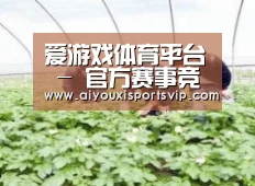 种植基地三