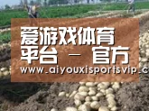 种植基地七(图1)