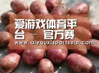 产品展示标题5(图1)