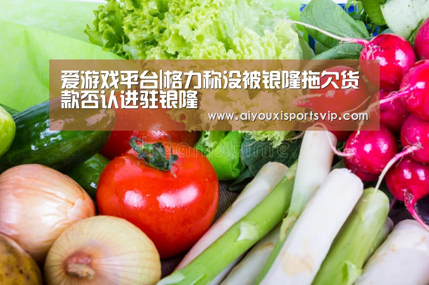 爱游戏平台|格力称没被银隆拖欠货款否认进驻银隆(图2) 爱游戏平台