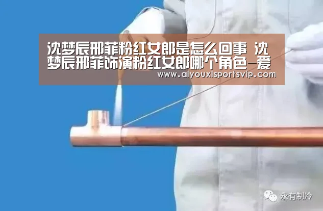 沈梦辰邢菲粉红女郎是怎么回事 沈梦辰邢菲饰演粉红女郎哪个角色-爱游戏电竞(图2) 爱游戏电竞