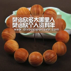 爱游戏电竞
