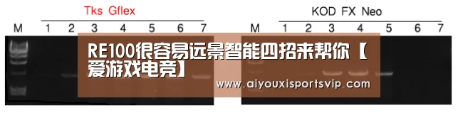 RE100很容易远景智能四招来帮你【爱游戏电竞】(图4) 爱游戏平台
