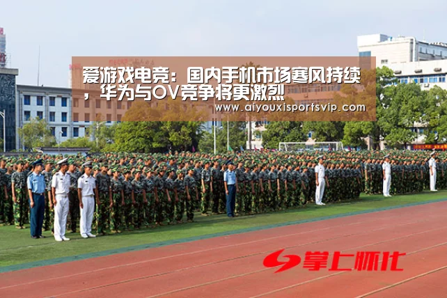 爱游戏电竞:国内手机市场寒风持续,华为与OV竞争将更激烈(图1) 爱游戏APP