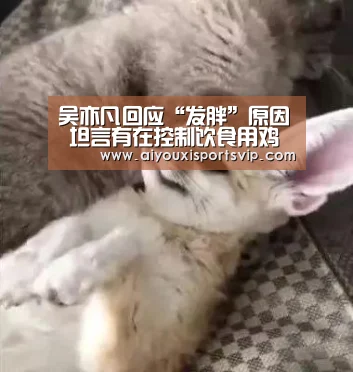 吴亦凡回应“发胖”原因 坦言有在控制饮食用鸡蛋清代餐-爱游戏APP(图2) 爱游戏APP
