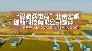 爱游戏百家乐