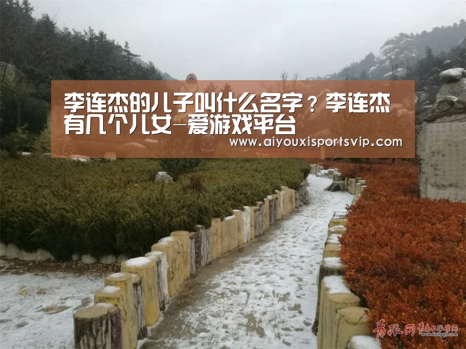 李连杰的儿子叫什么名字?李连杰有几个儿女-爱游戏平台(图4) 爱游戏平台