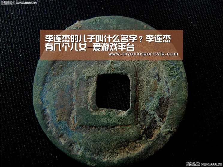 李连杰的儿子叫什么名字?李连杰有几个儿女-爱游戏平台(图3) 爱游戏APP