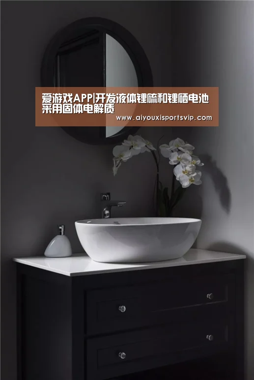 爱游戏APP|开发液体锂硫和锂硒电池采用固体电解质(图1) 爱游戏百家乐