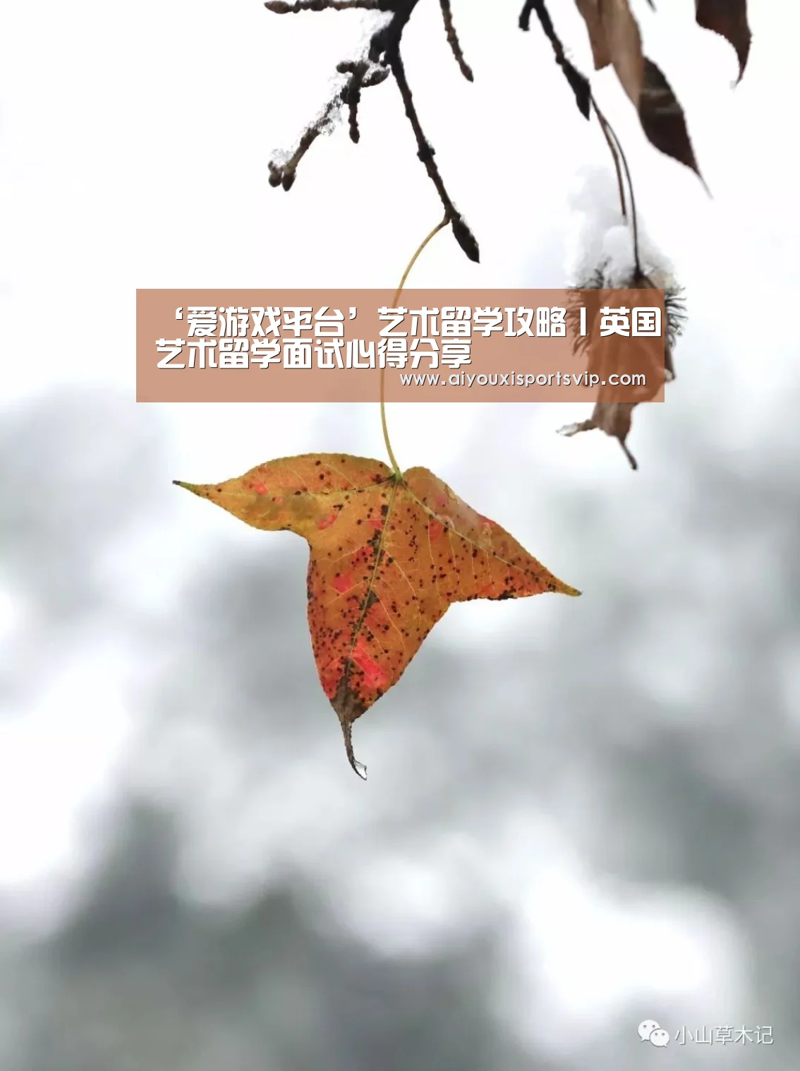 ‘爱游戏平台’艺术留学攻略丨英国艺术留学面试心得分享(图1) 爱游戏平台