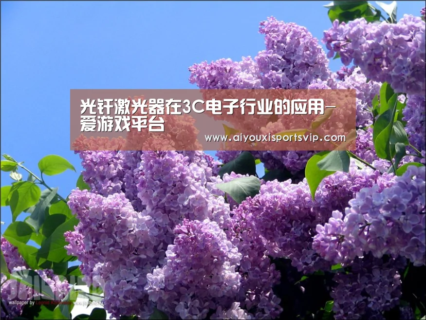 爱游戏平台
