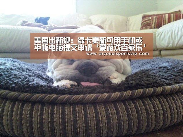 爱游戏平台