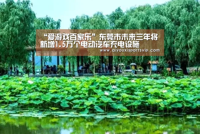 “爱游戏百家乐”东莞市未来三年将新增1.5万个电动汽车充电设施(图3) 爱游戏APP